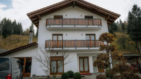 Vila Kony Borşa